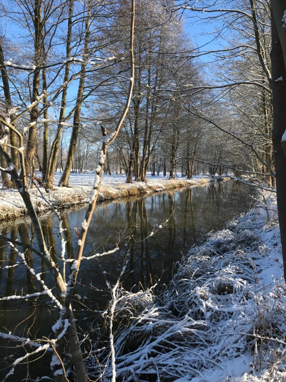 Ferienwohnungen Direkt Am Wasser Бург Екстериор снимка