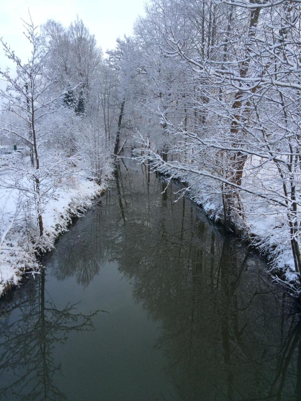 Ferienwohnungen Direkt Am Wasser Бург Екстериор снимка